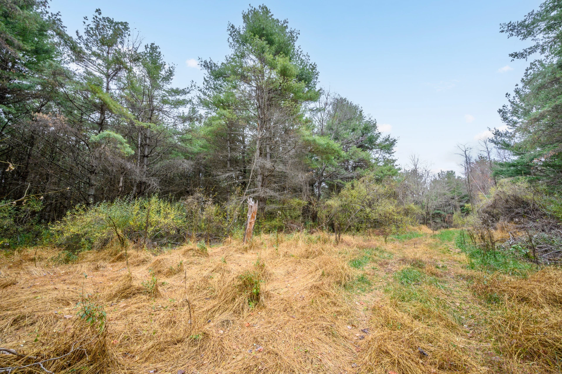 595 Wild Cherry RD NE - Photo 3