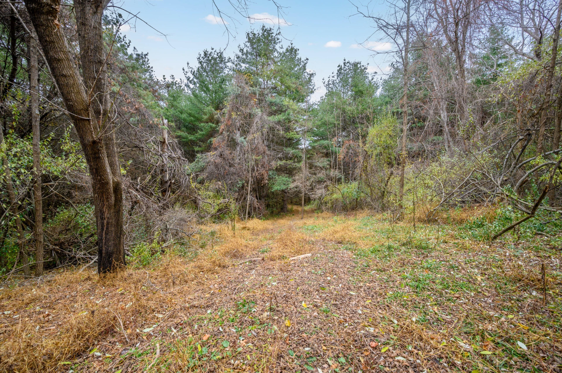 595 Wild Cherry RD NE - Photo 4