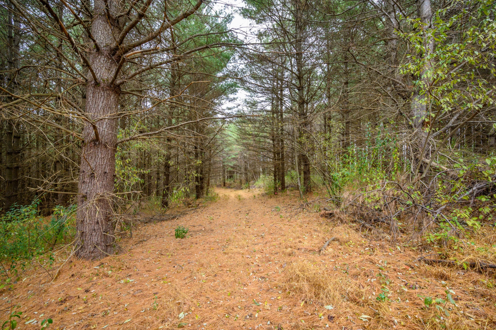 595 Wild Cherry RD NE - Photo 5