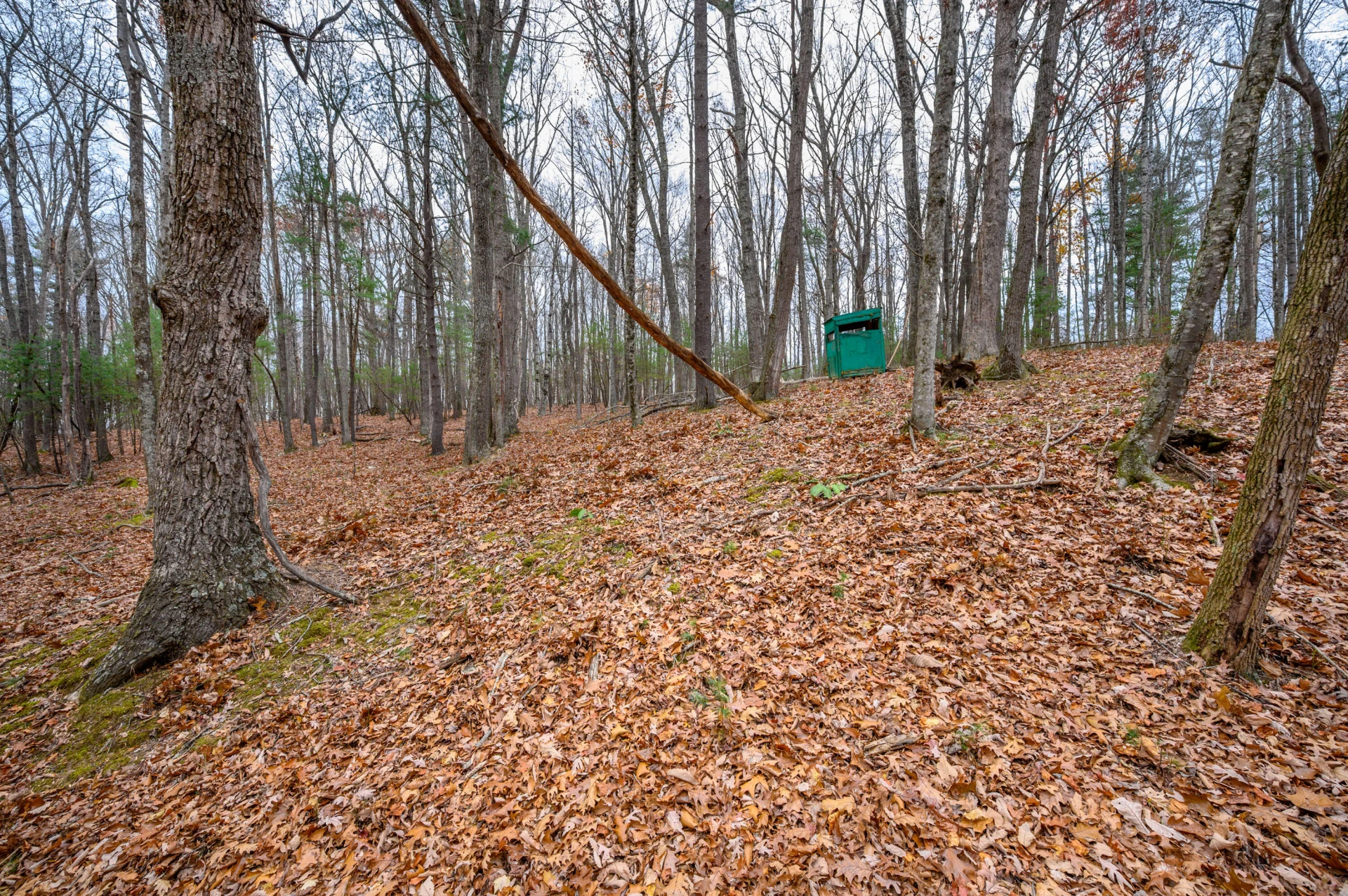 621 Wild Cherry RD NE - Photo 11