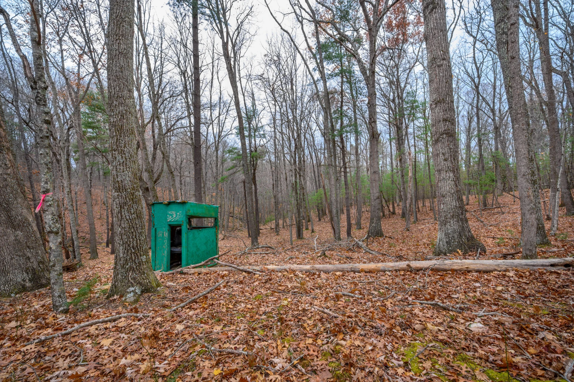 621 Wild Cherry RD NE - Photo 12