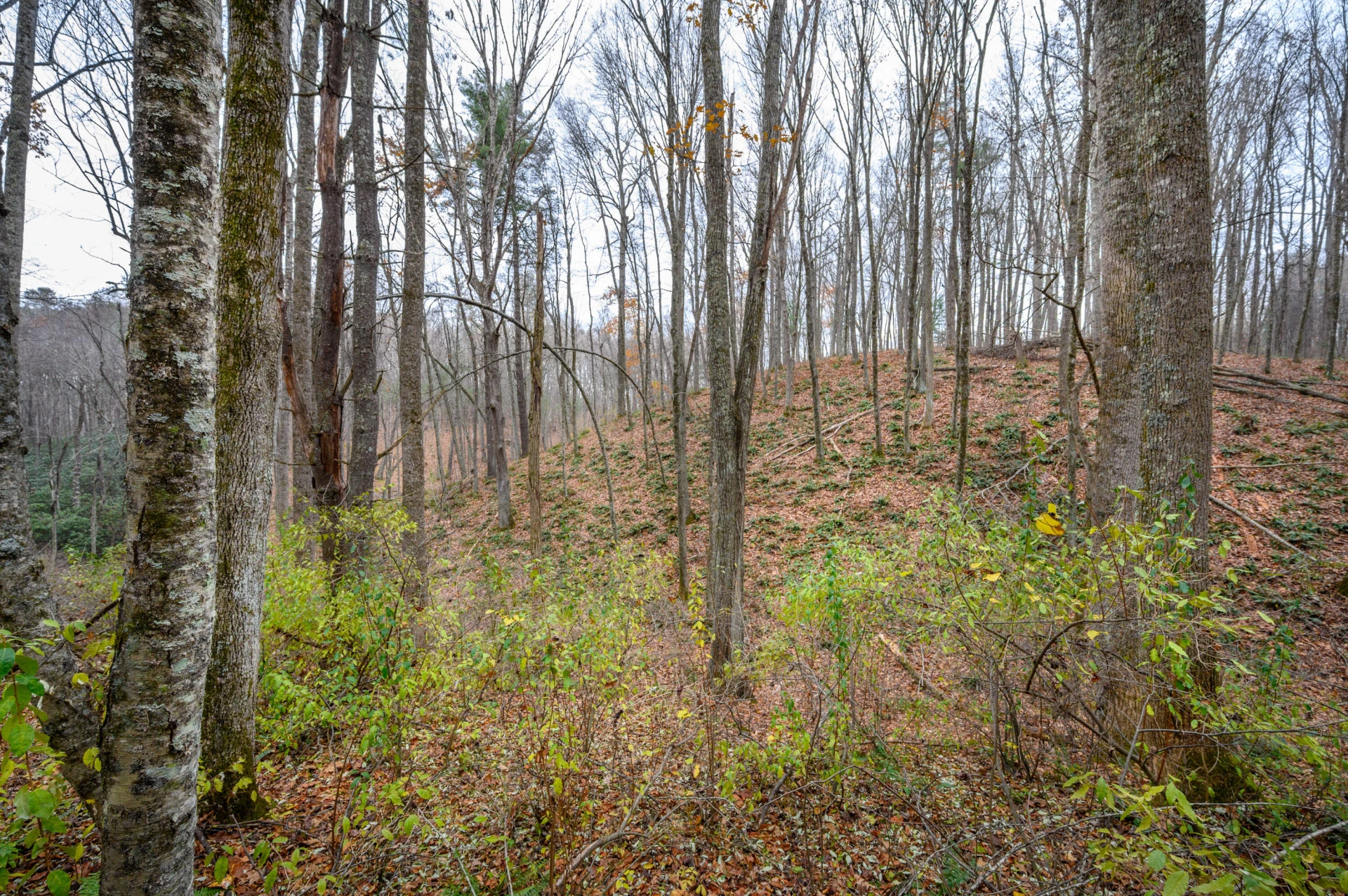 621 Wild Cherry RD NE - Photo 3