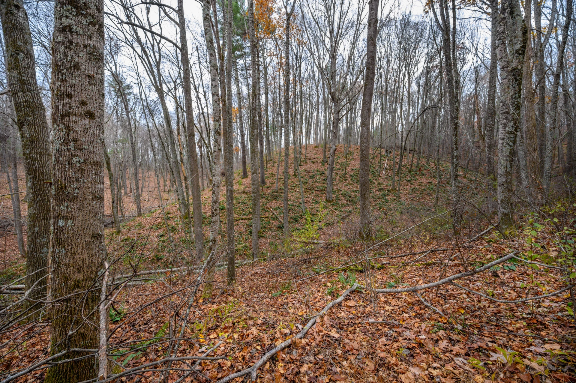 621 Wild Cherry RD NE - Photo 4