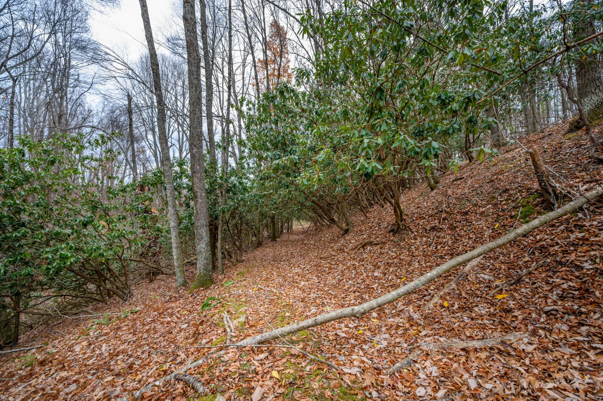 621 Wild Cherry RD NE - Photo 8