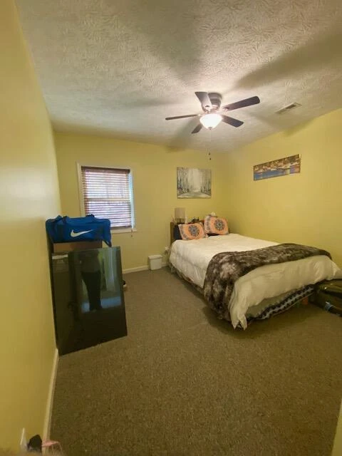 797 Major Holland RD - Photo 37