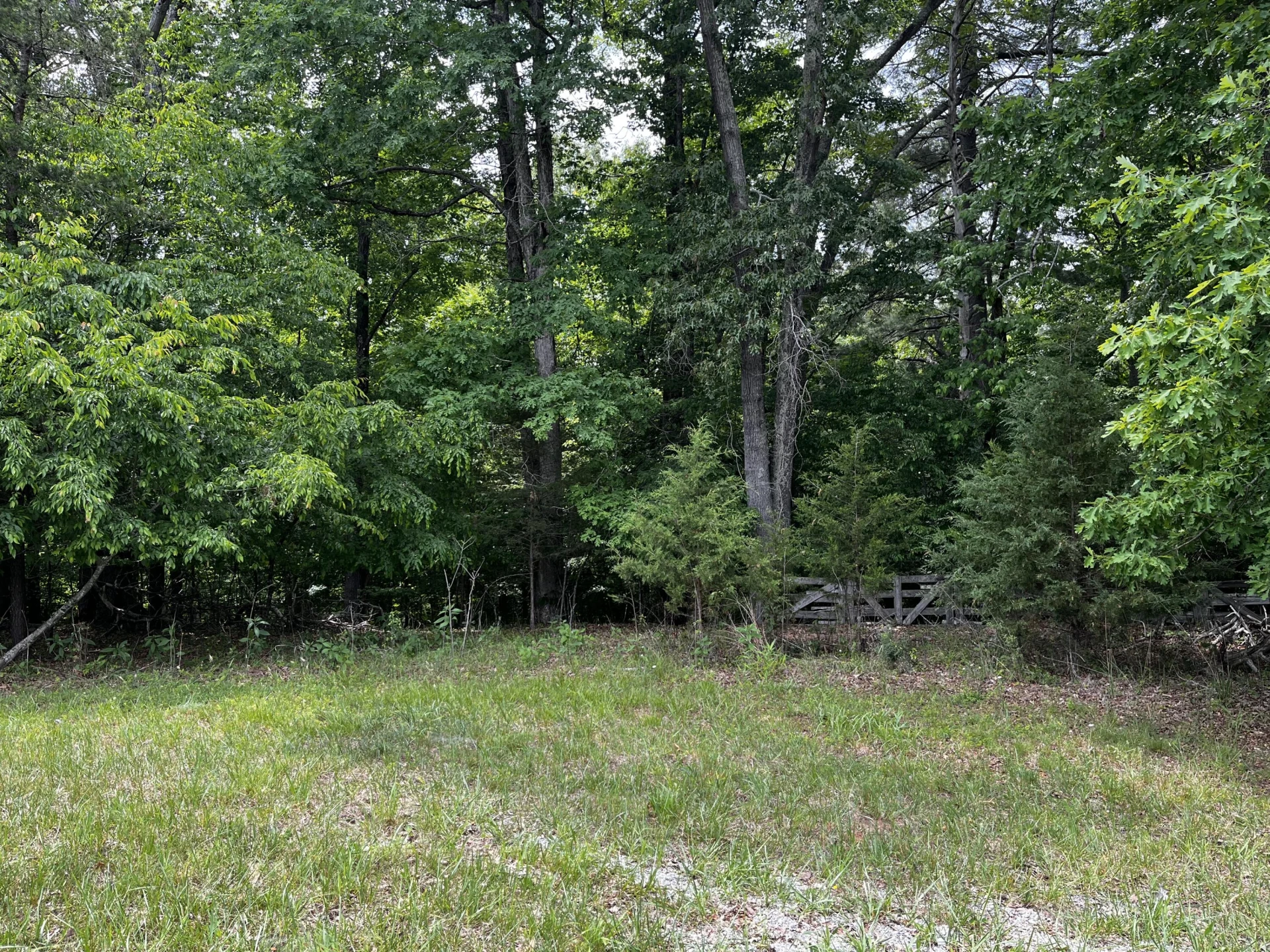 Lot 17 Riverfront DR - Photo 3