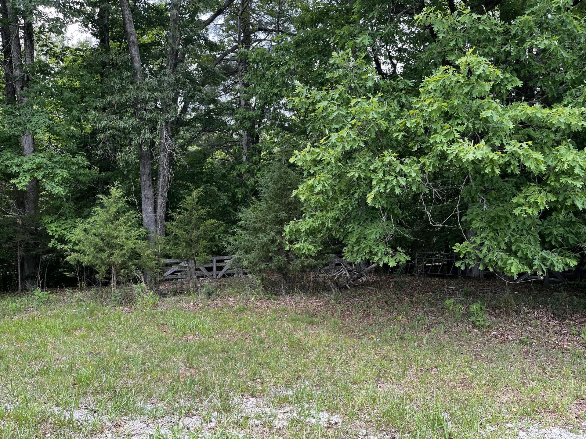 Lot 17 Riverfront DR - Photo 4