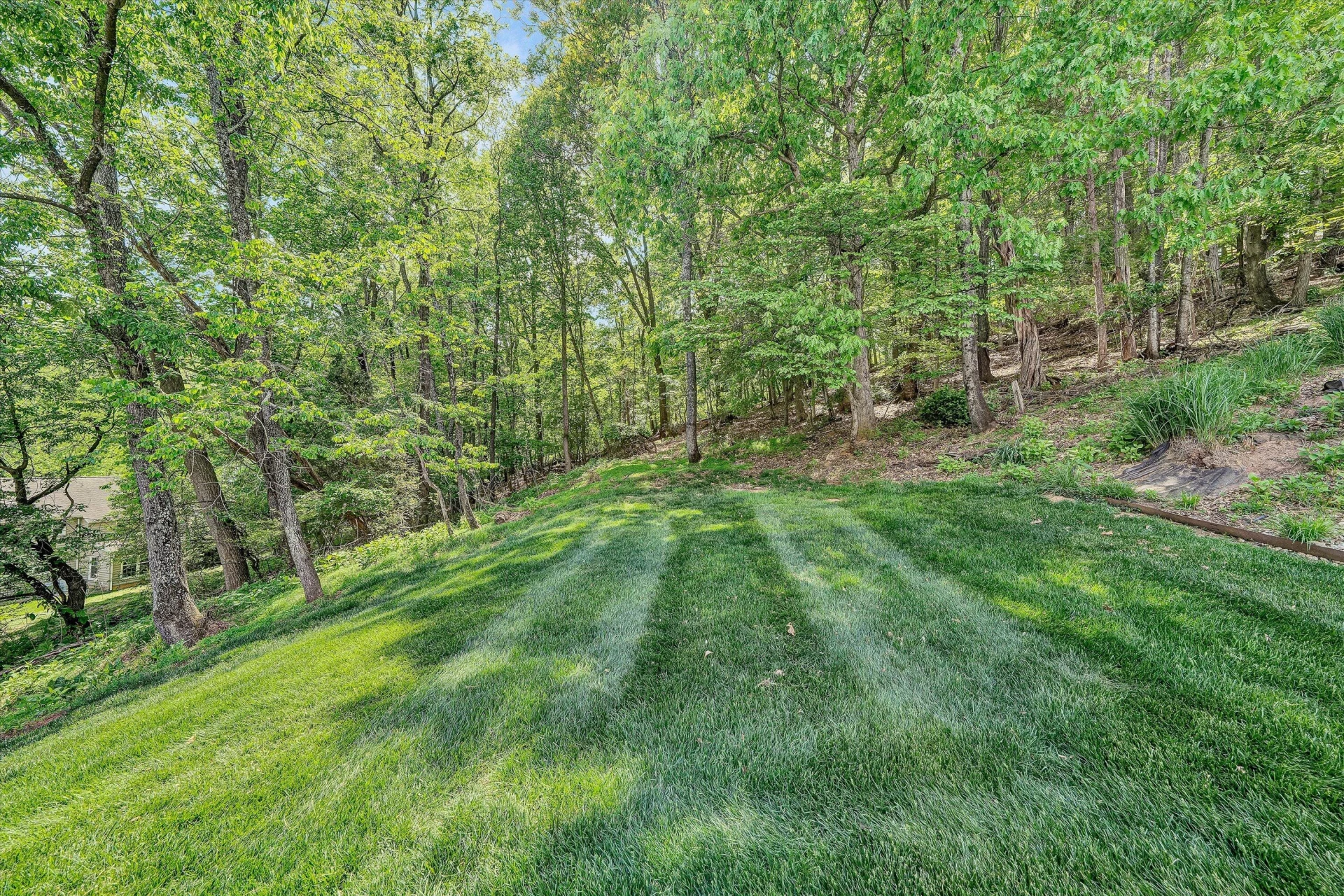 5306 Canter DR - Photo 43