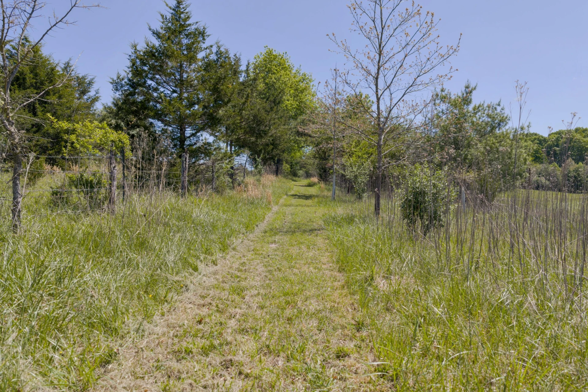 181 Windy Mile LN - Photo 63