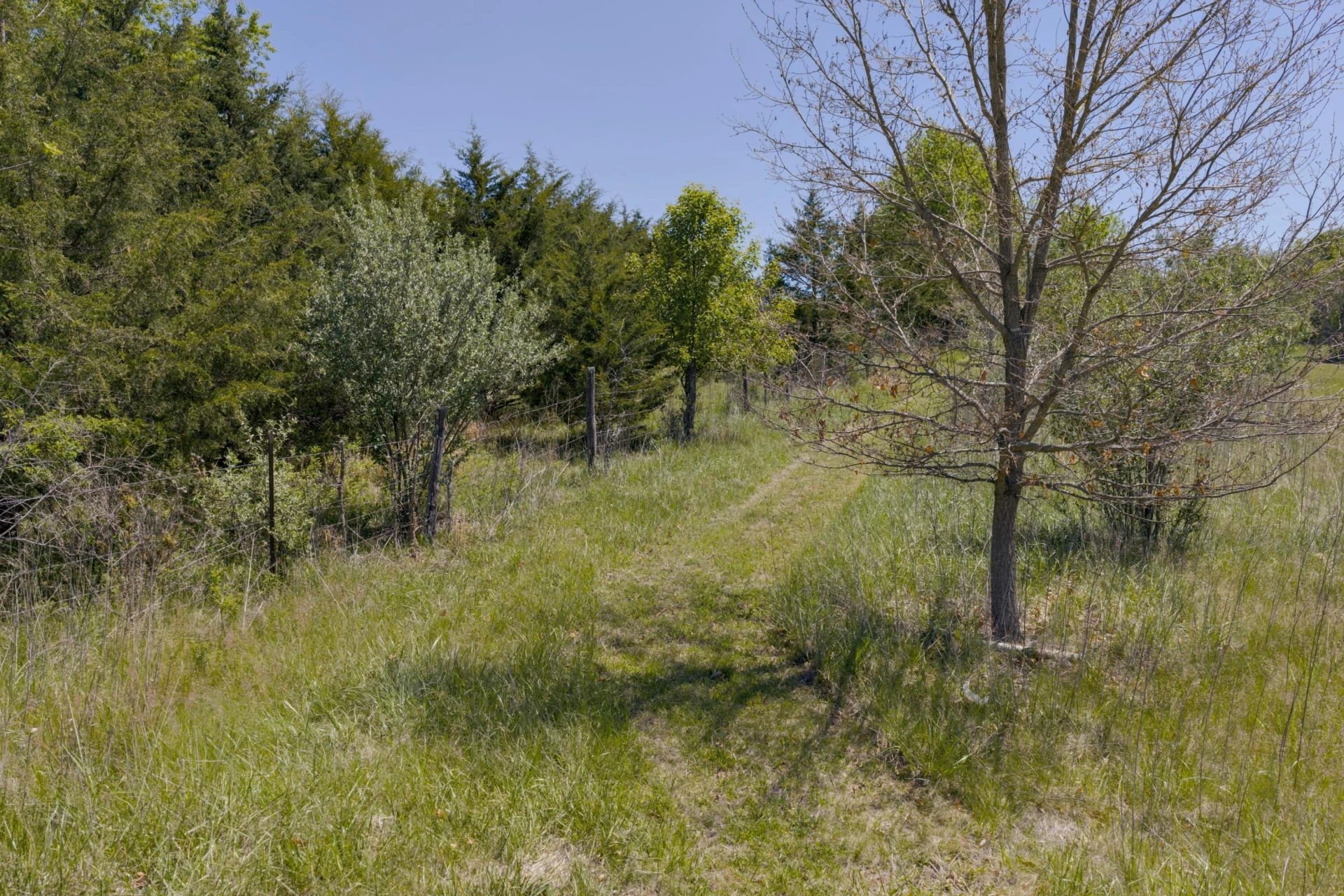 181 Windy Mile LN - Photo 64