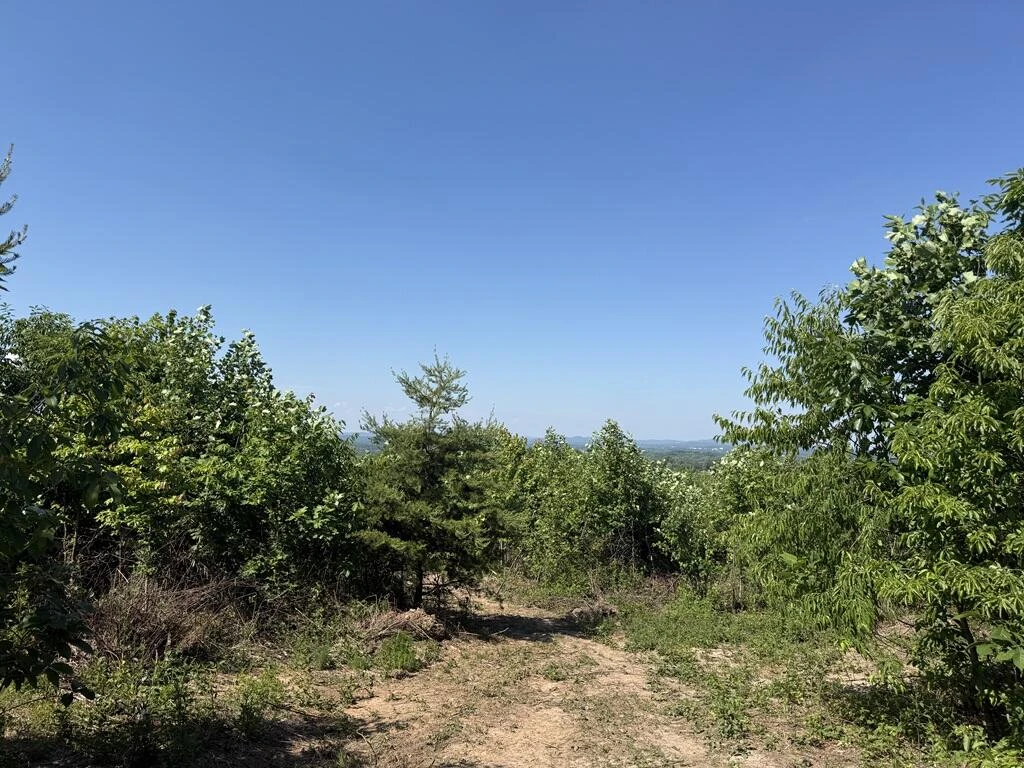 17007 A L Philpott Hwy - Photo 7