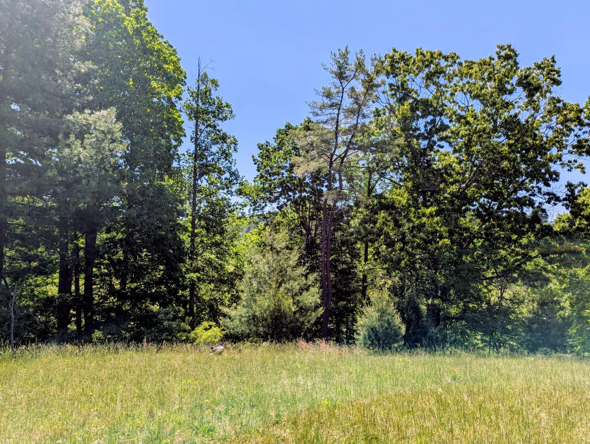 261 Newmantown RD - Photo 39