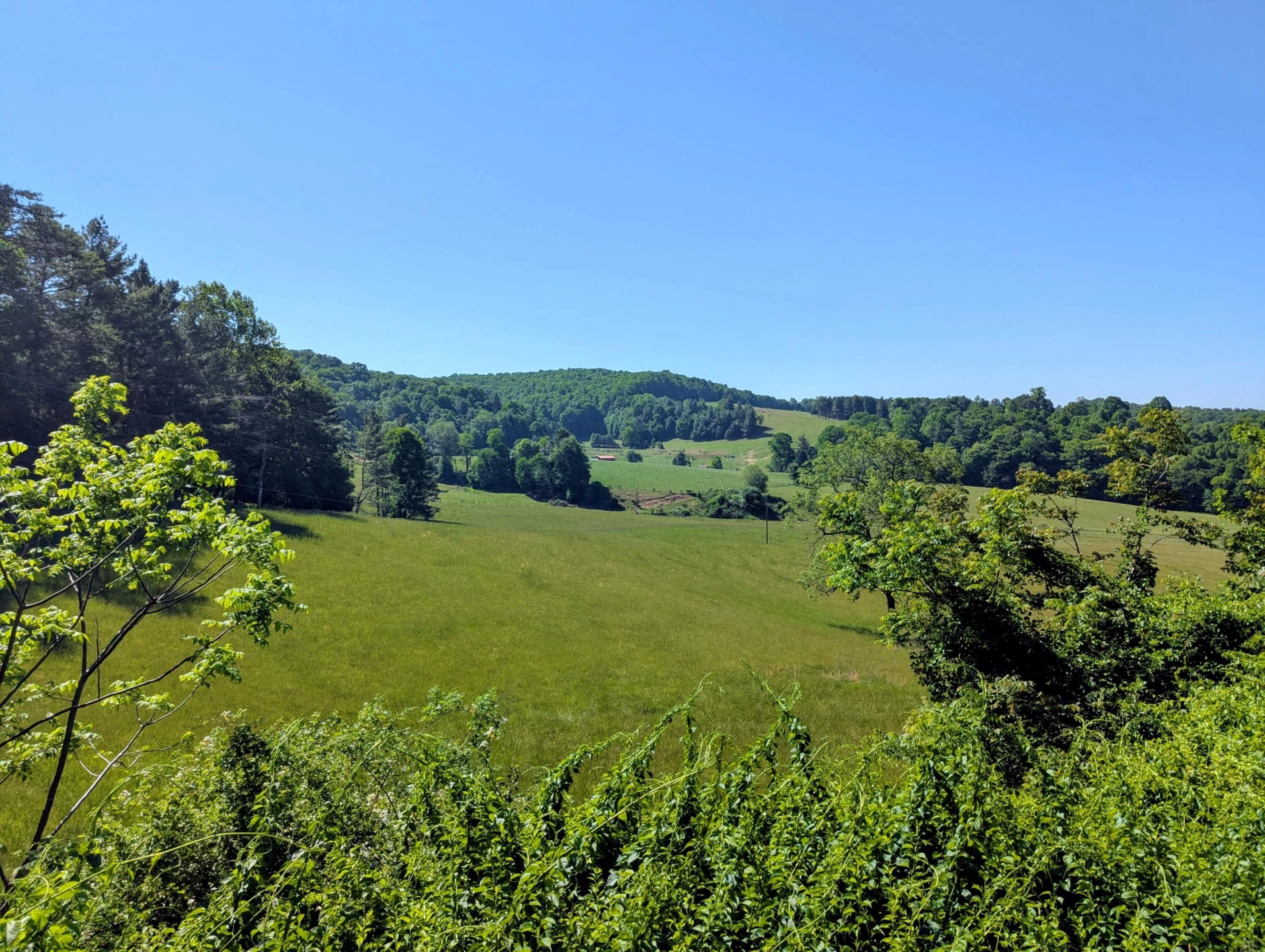 261 Newmantown RD - Photo 4