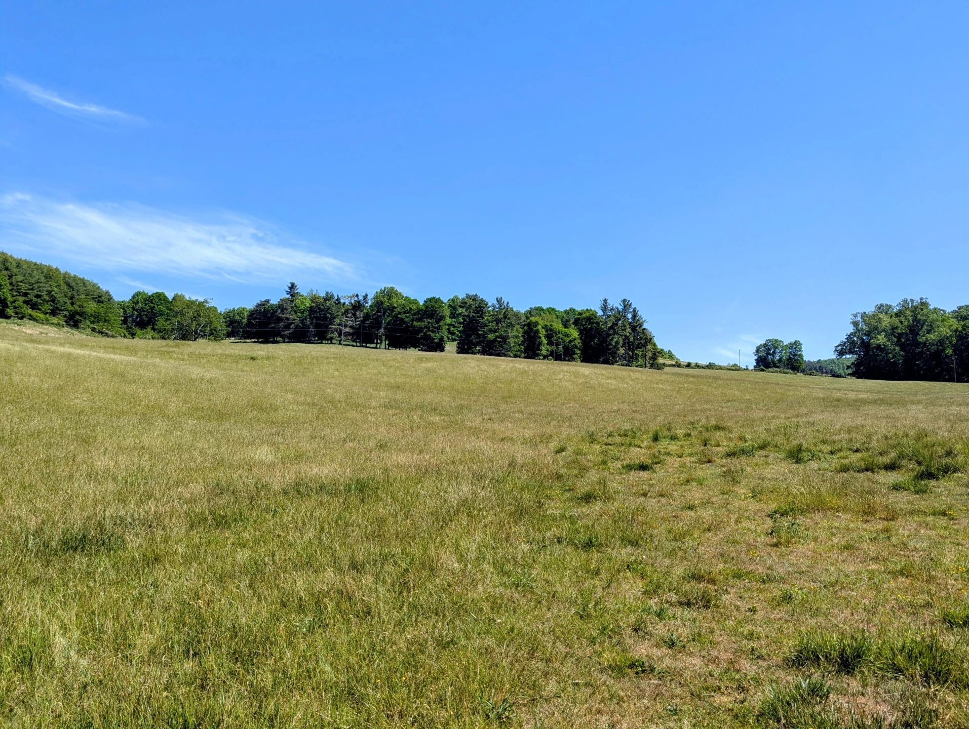261 Newmantown RD - Photo 41