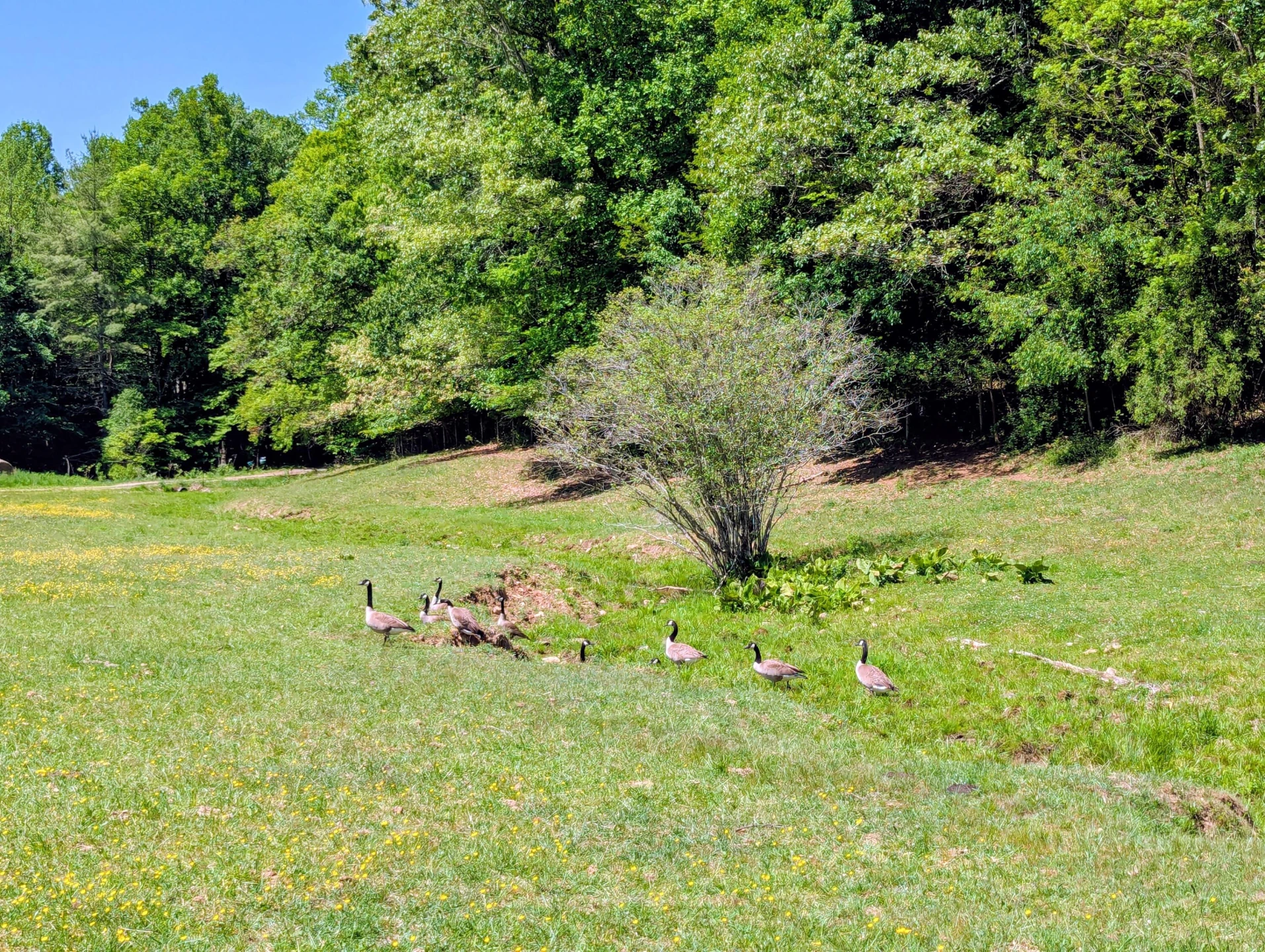 261 Newmantown RD - Photo 43
