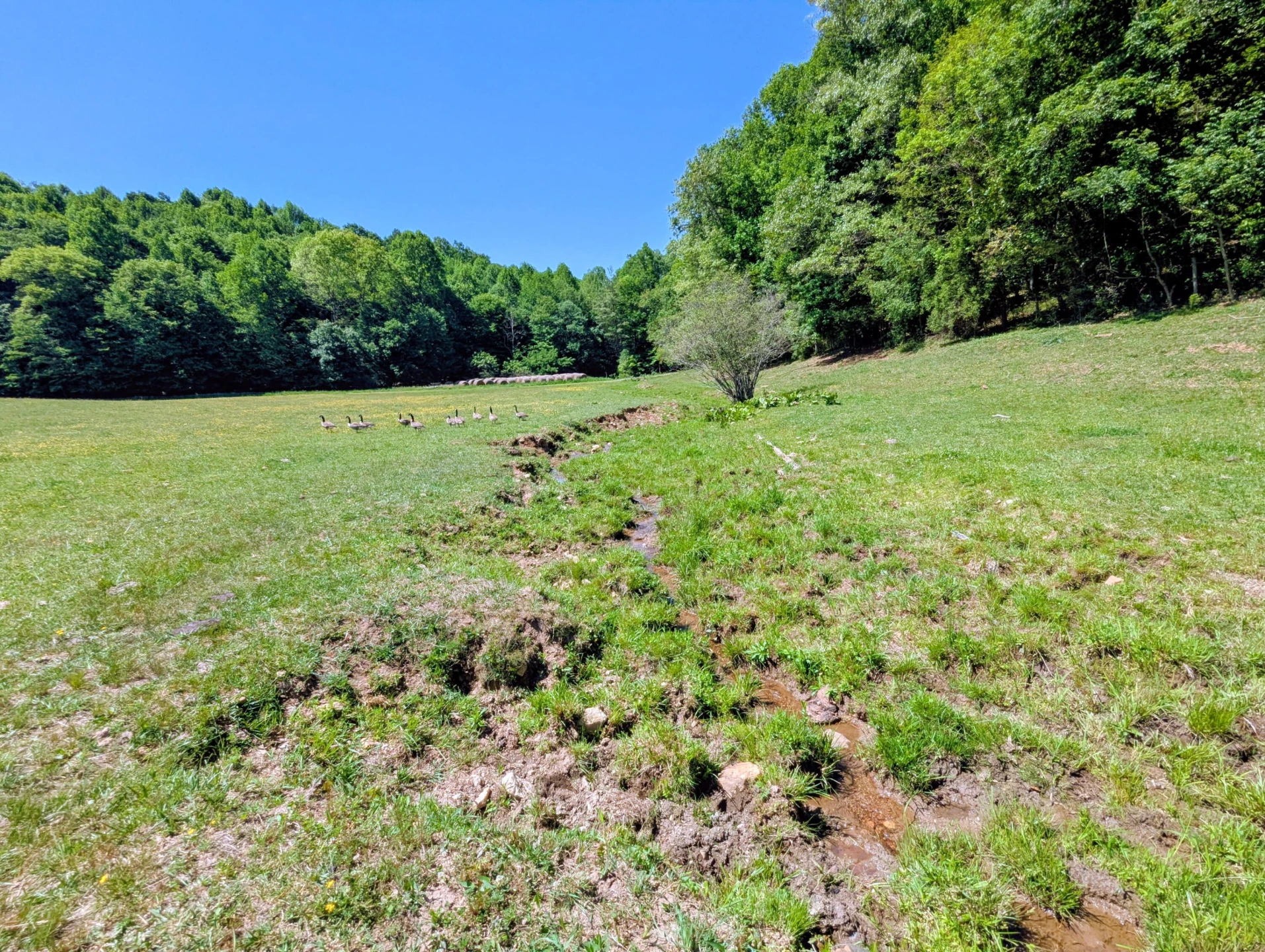 261 Newmantown RD - Photo 44