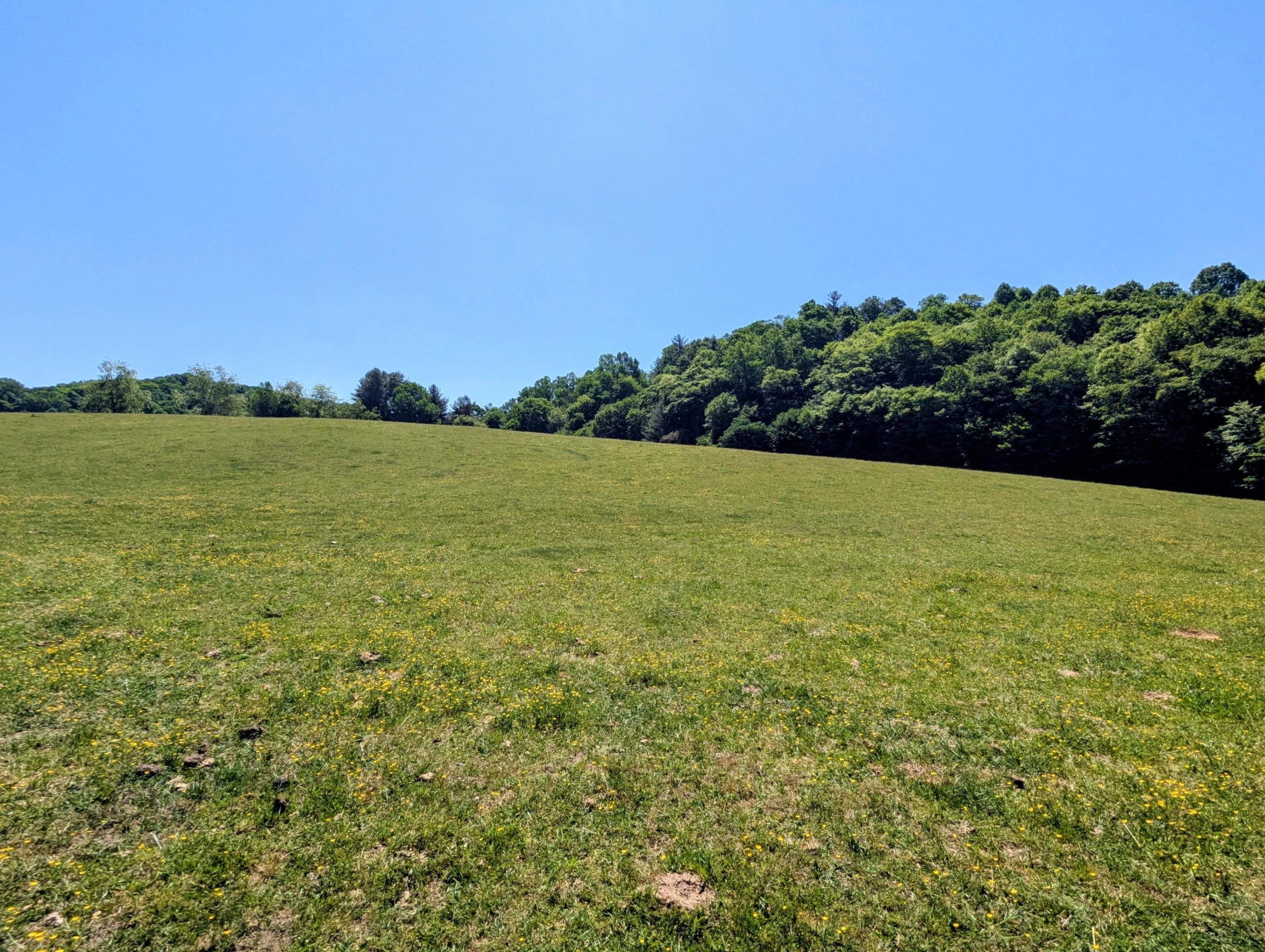 261 Newmantown RD - Photo 45