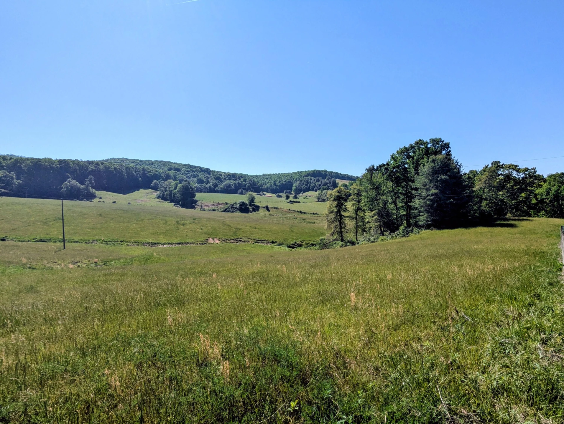 261 Newmantown RD - Photo 5