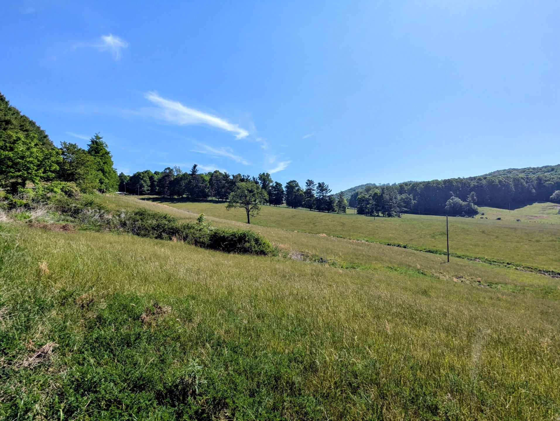 261 Newmantown RD - Photo 6