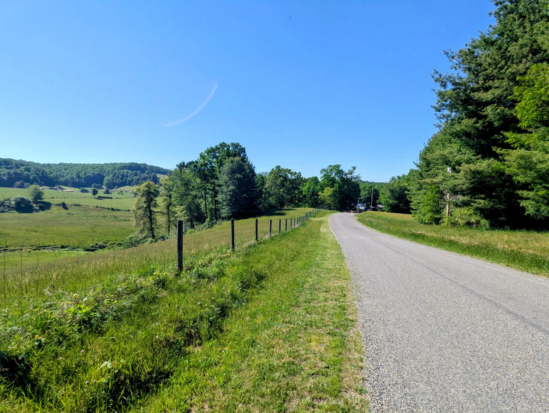 261 Newmantown RD - Photo 7