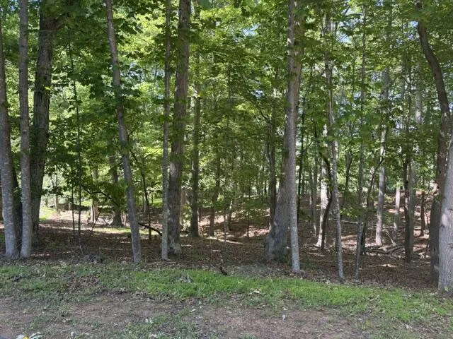 Lot 218A Hunterwood CIR, Penhook, VA, 24137