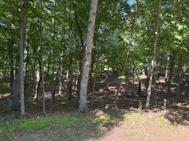 Lot 218A Hunterwood CIR - Photo 2