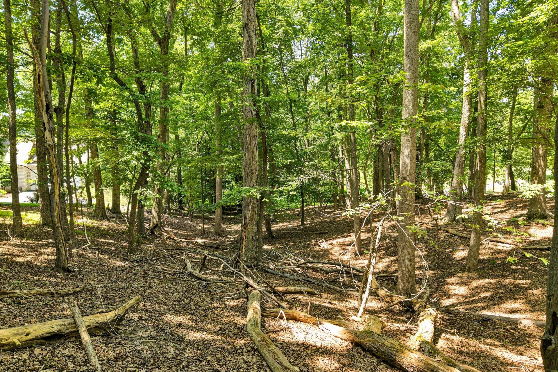 Lot 218A Hunterwood CIR - Photo 29