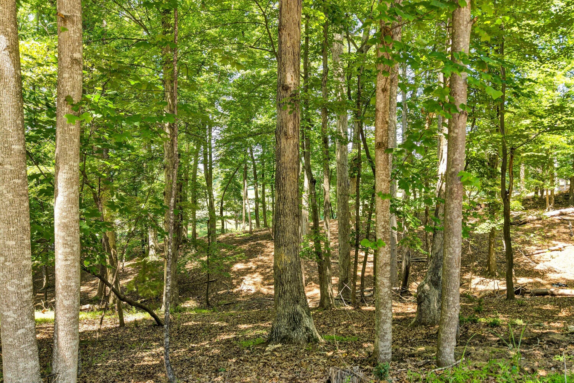Lot 218A Hunterwood CIR - Photo 5