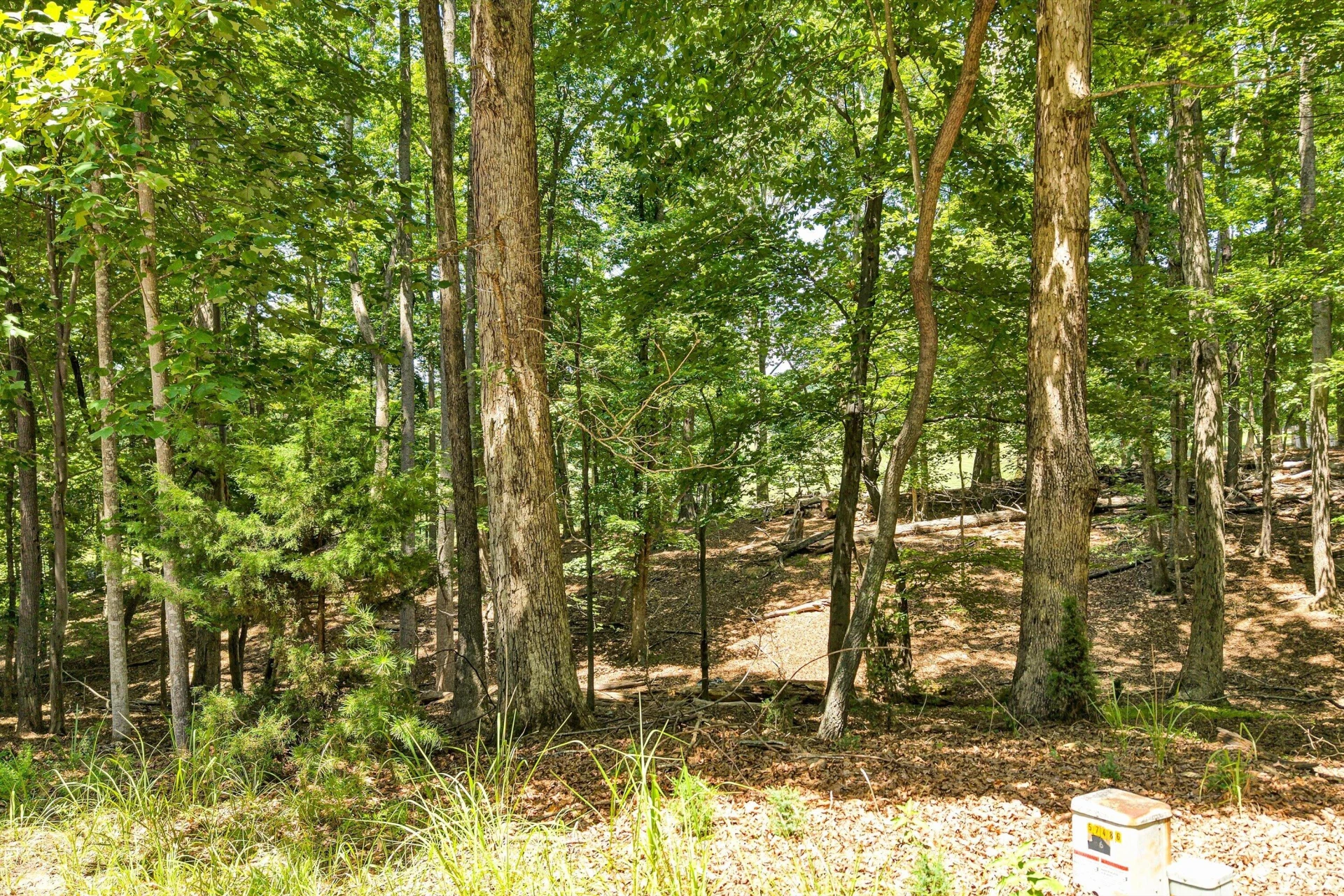 Lot 218A Hunterwood CIR - Photo 6