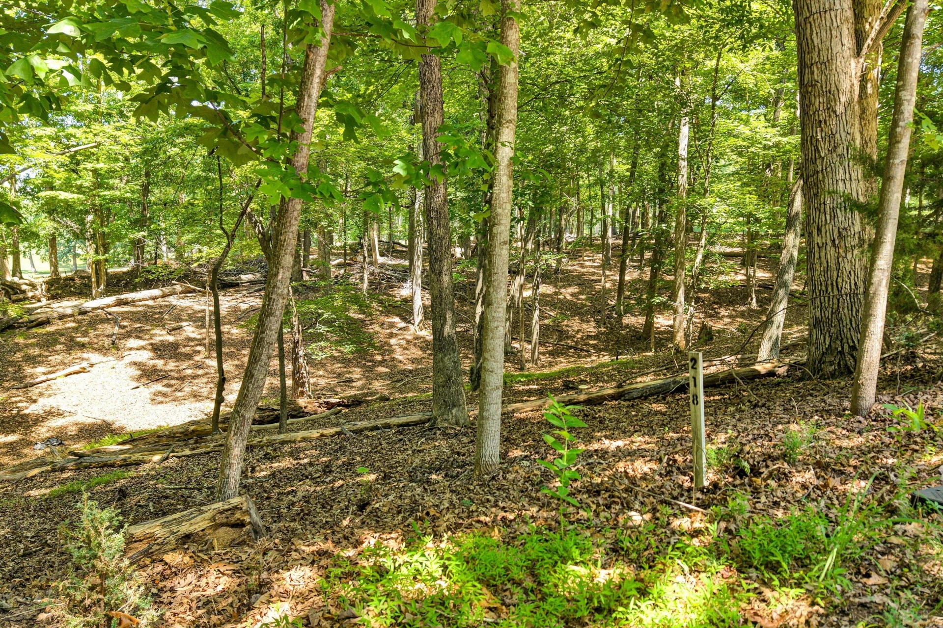 Lot 218A Hunterwood CIR - Photo 7