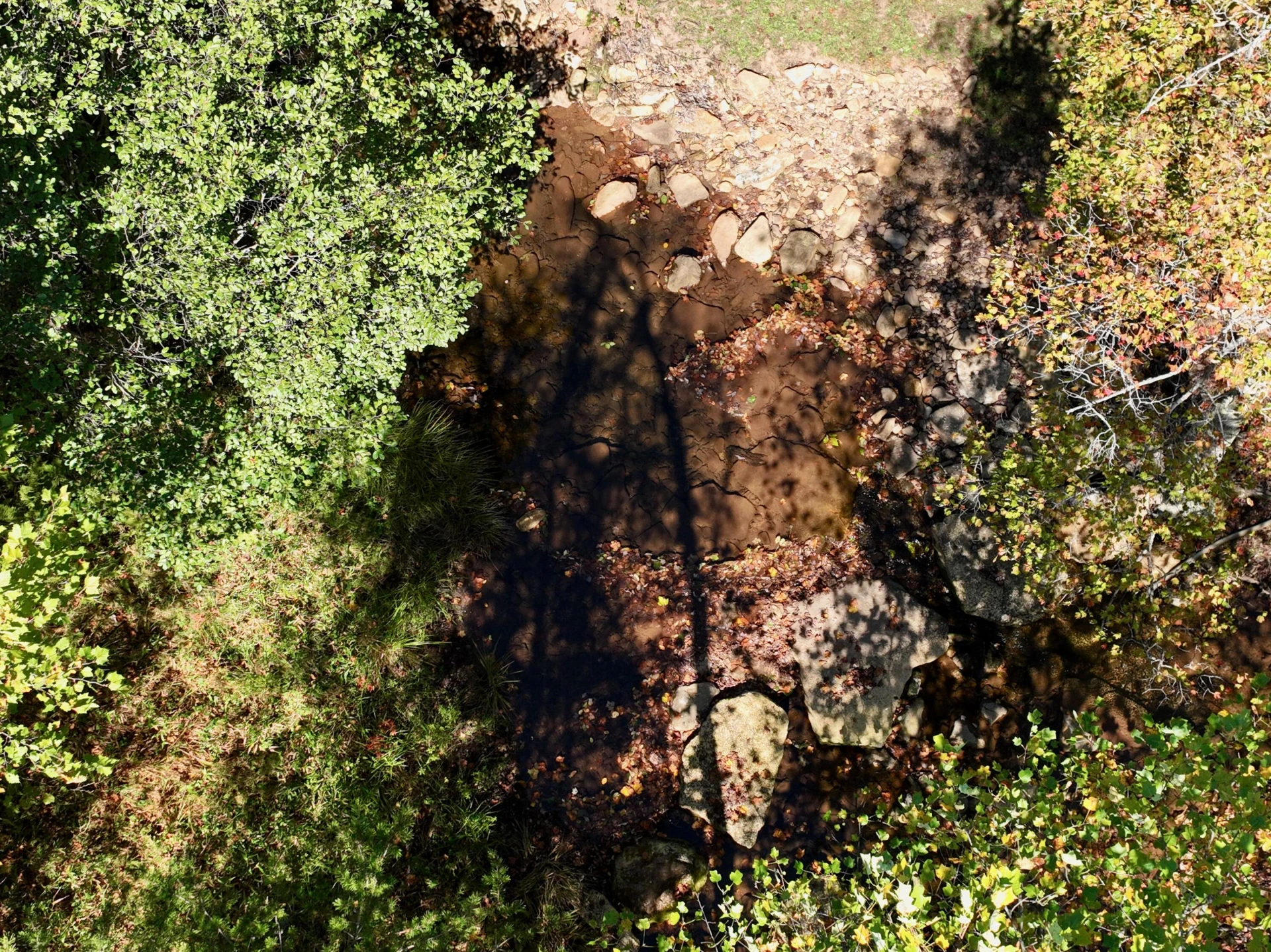  - Photo 49