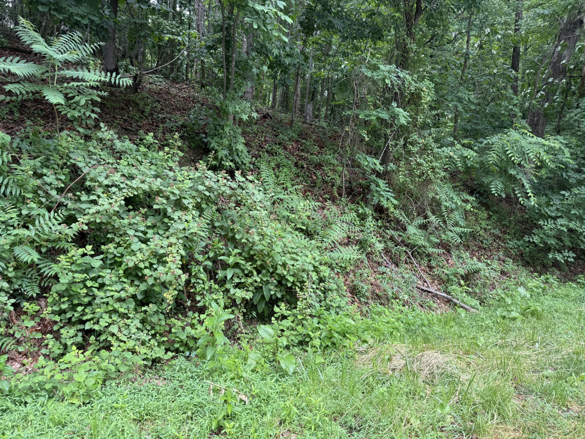0 Waywood Hill DR - Photo 3