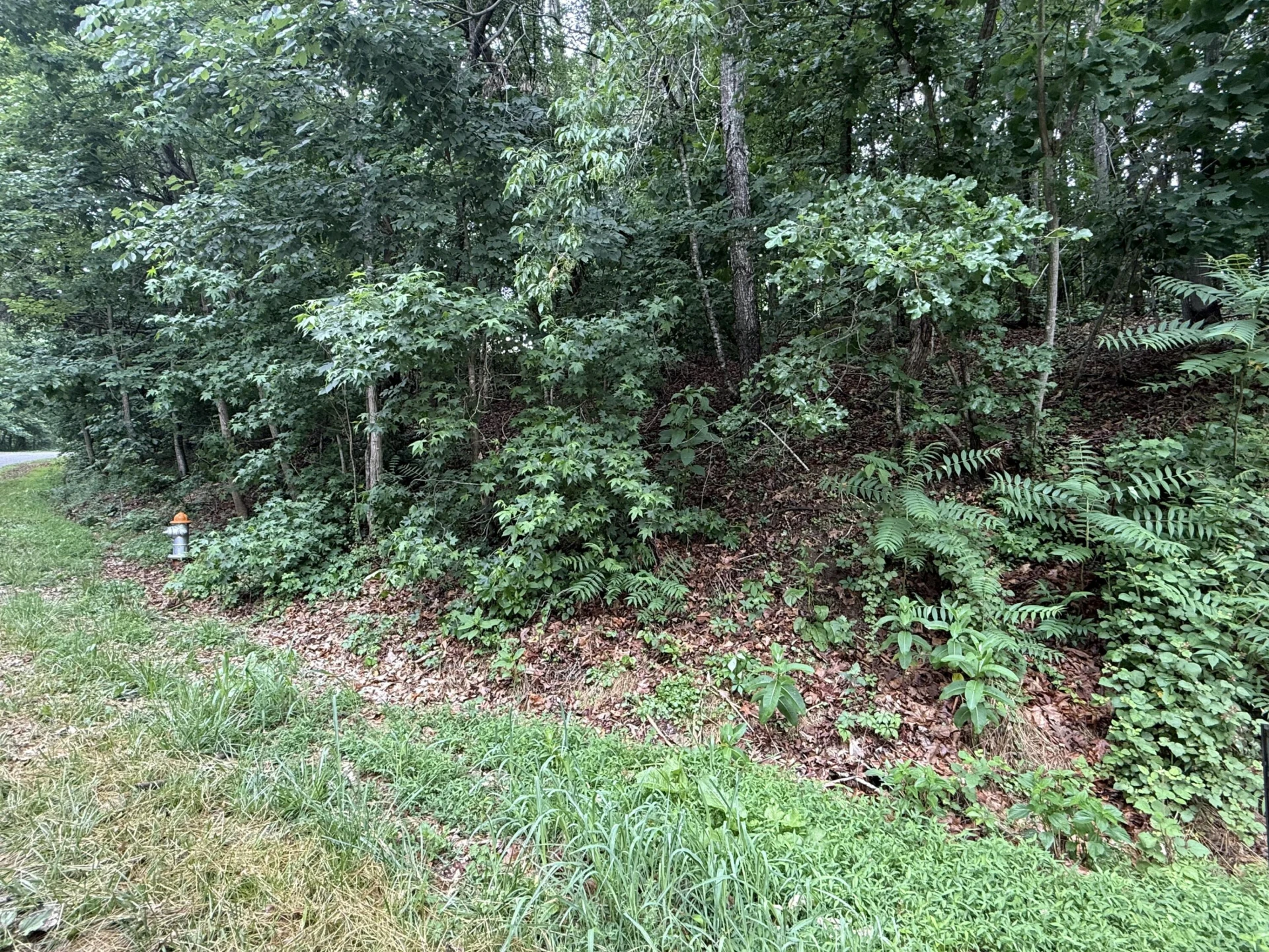 0 Waywood Hill DR - Photo 5