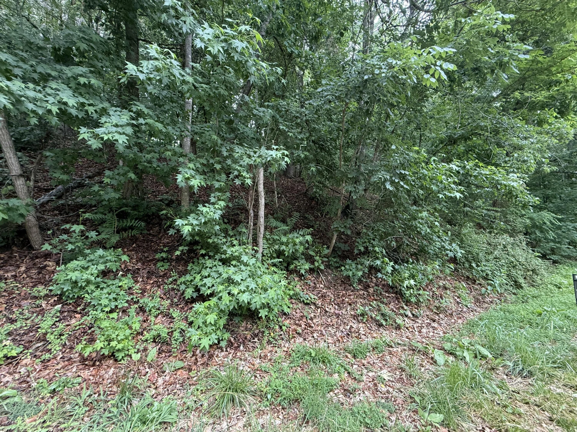 0 Waywood Hill DR - Photo 6