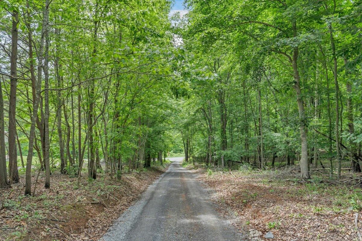 4218 Goose Dam RD - Photo 23