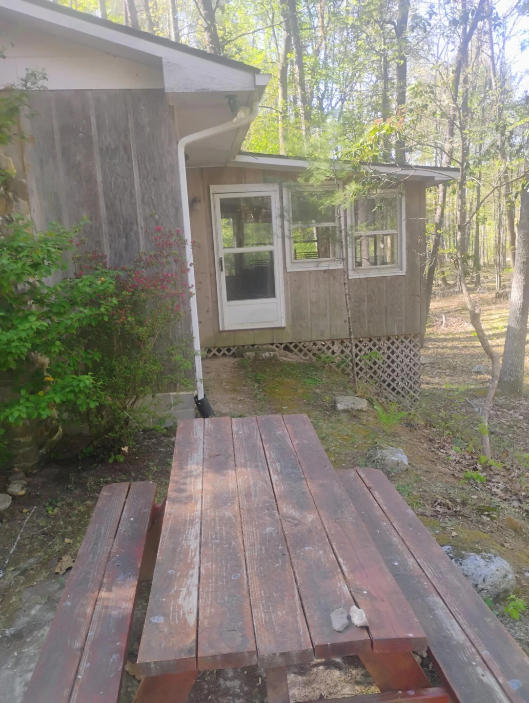 425 Miller Cove RD - Photo 3