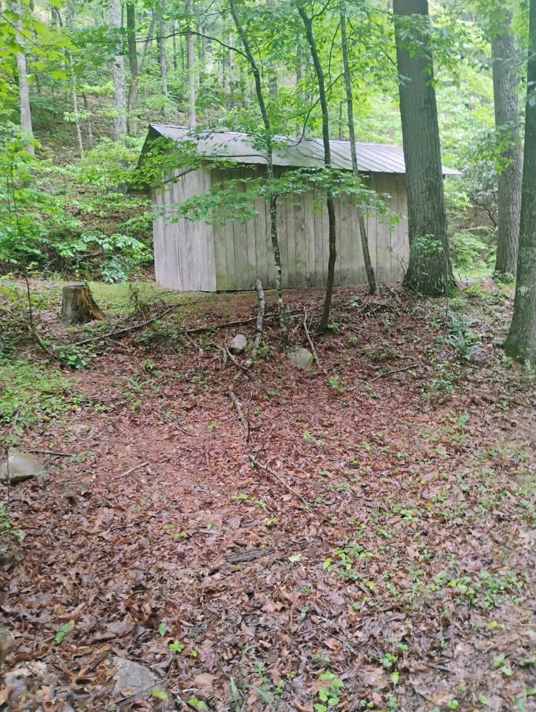 425 Miller Cove RD - Photo 4