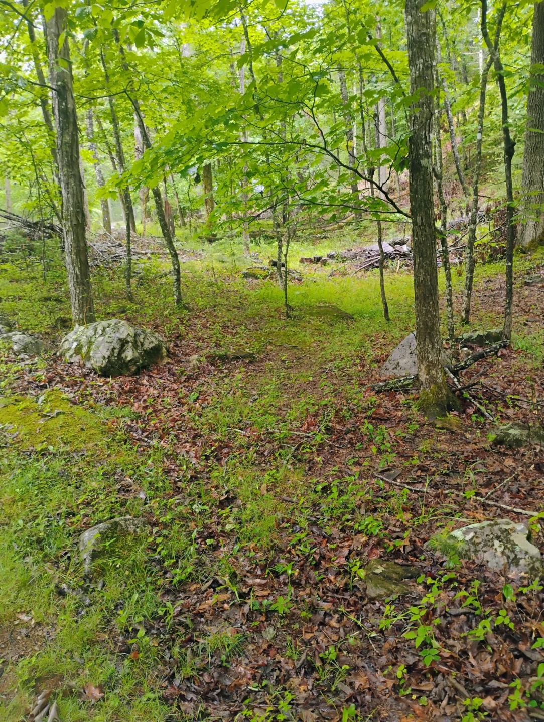 425 Miller Cove RD - Photo 6