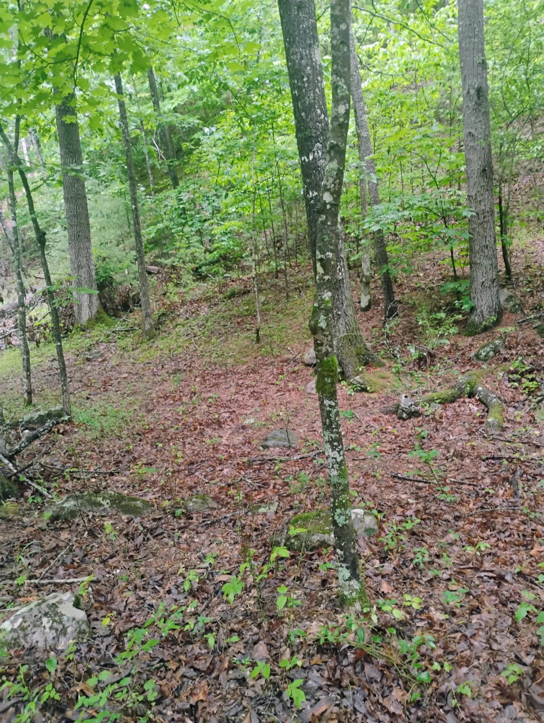 425 Miller Cove RD - Photo 7