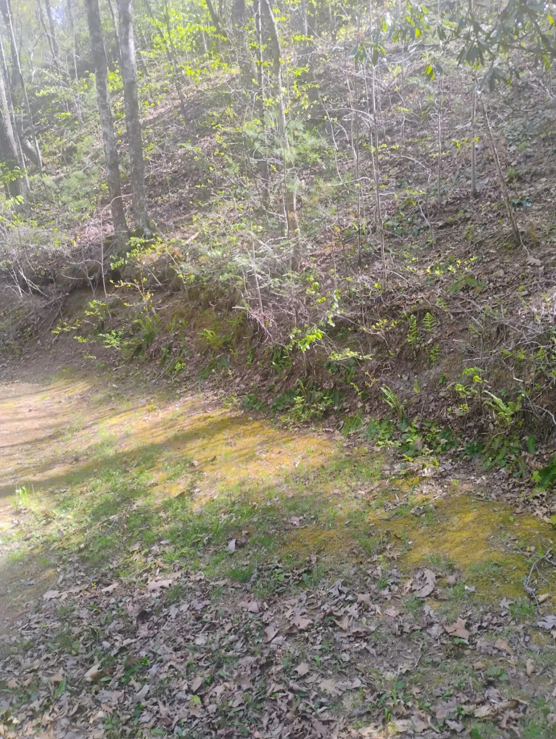 425 Miller Cove RD - Photo 8
