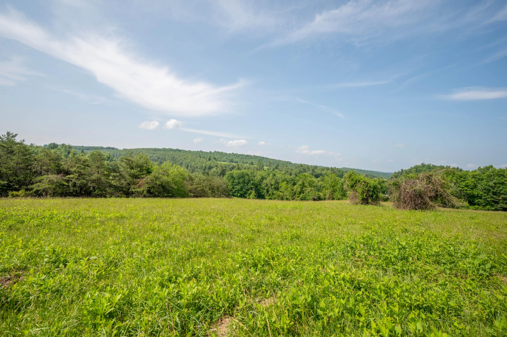 1073 Timberline RD SE - Photo 10