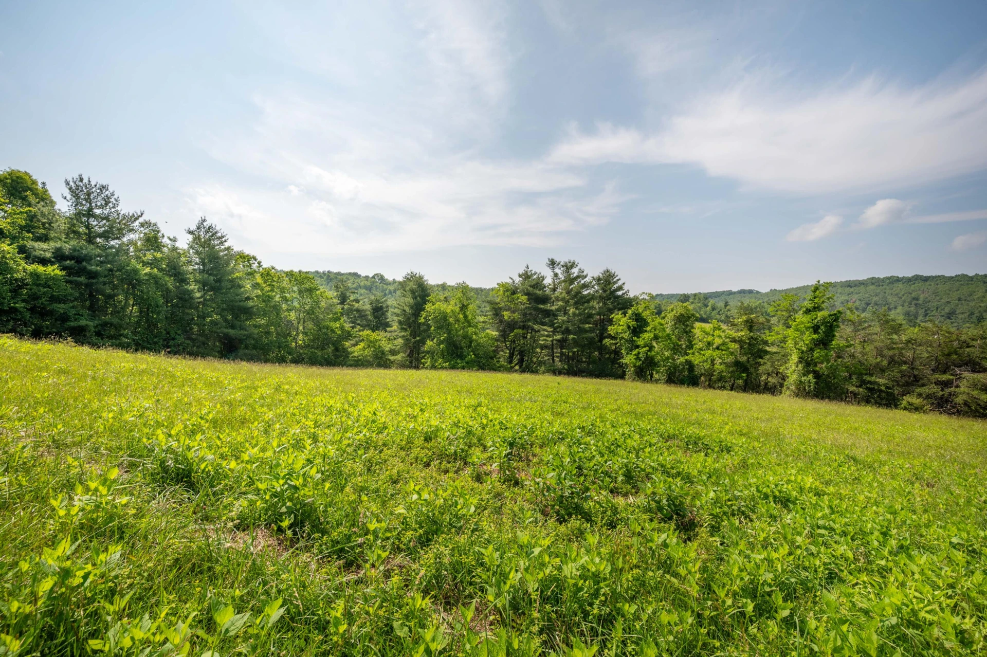 1073 Timberline RD SE - Photo 11