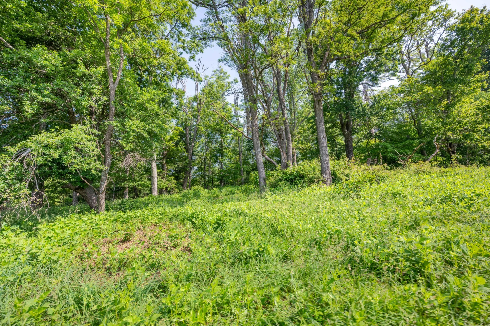 1073 Timberline RD SE - Photo 13