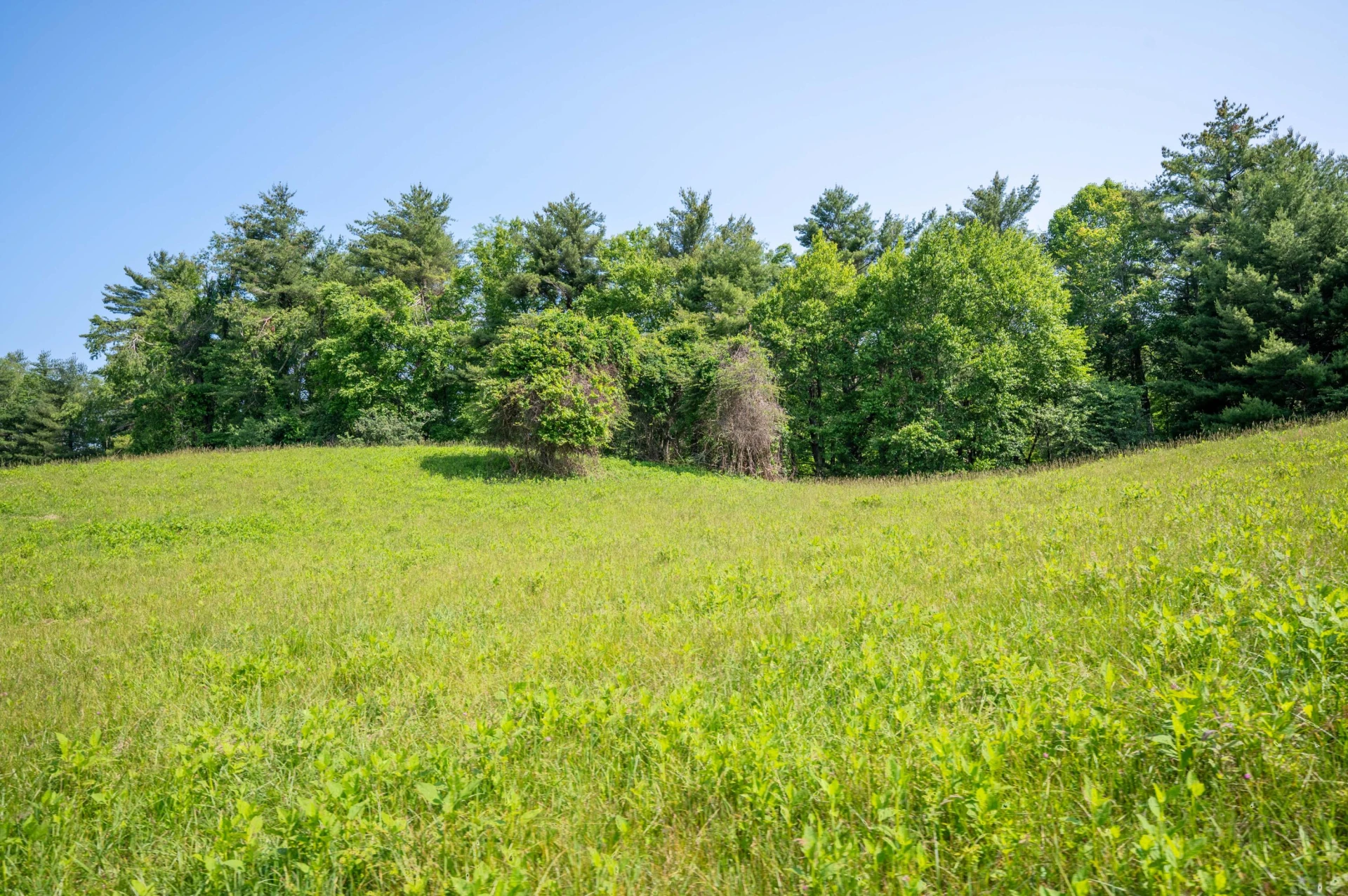 1073 Timberline RD SE - Photo 15