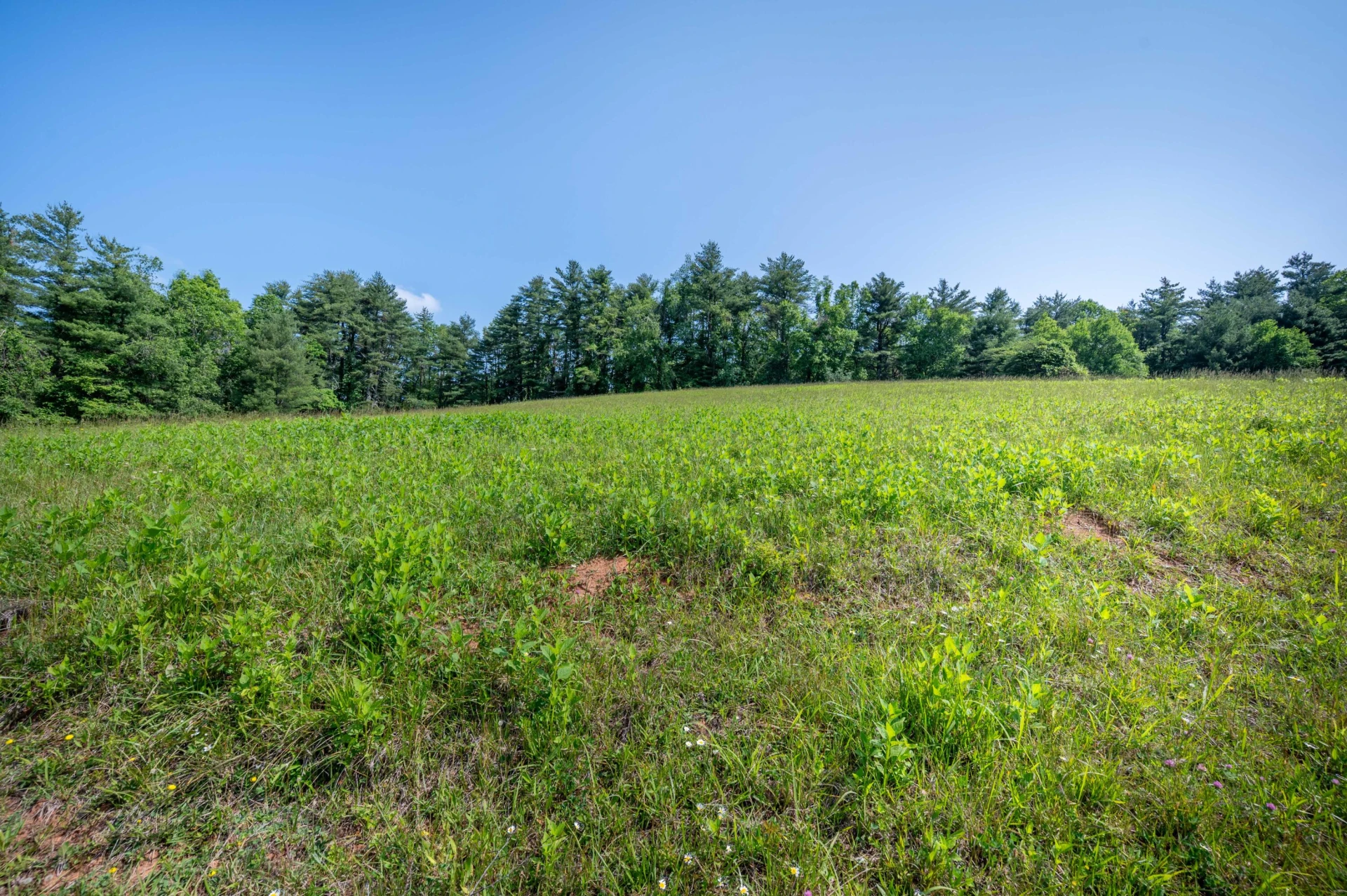 1073 Timberline RD SE - Photo 16