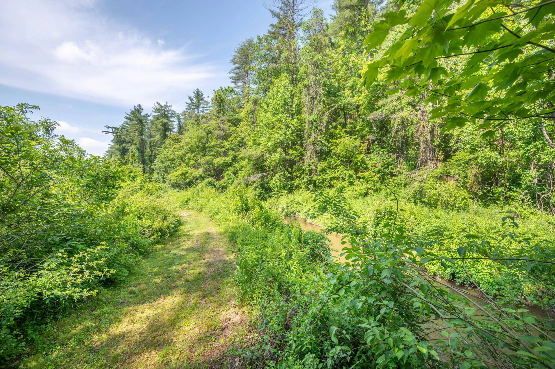 1073 Timberline RD SE - Photo 22