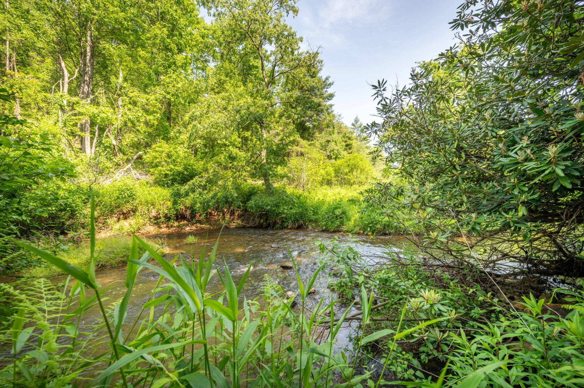 1073 Timberline RD SE - Photo 23
