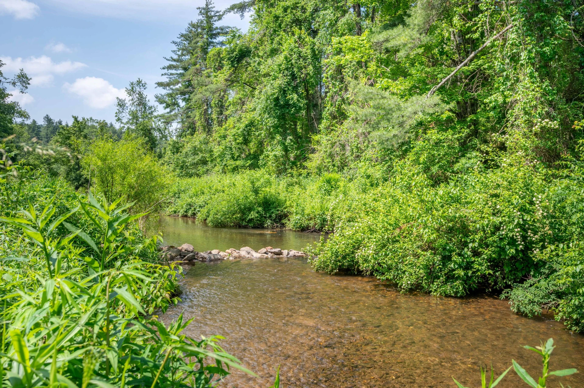 1073 Timberline RD SE - Photo 25
