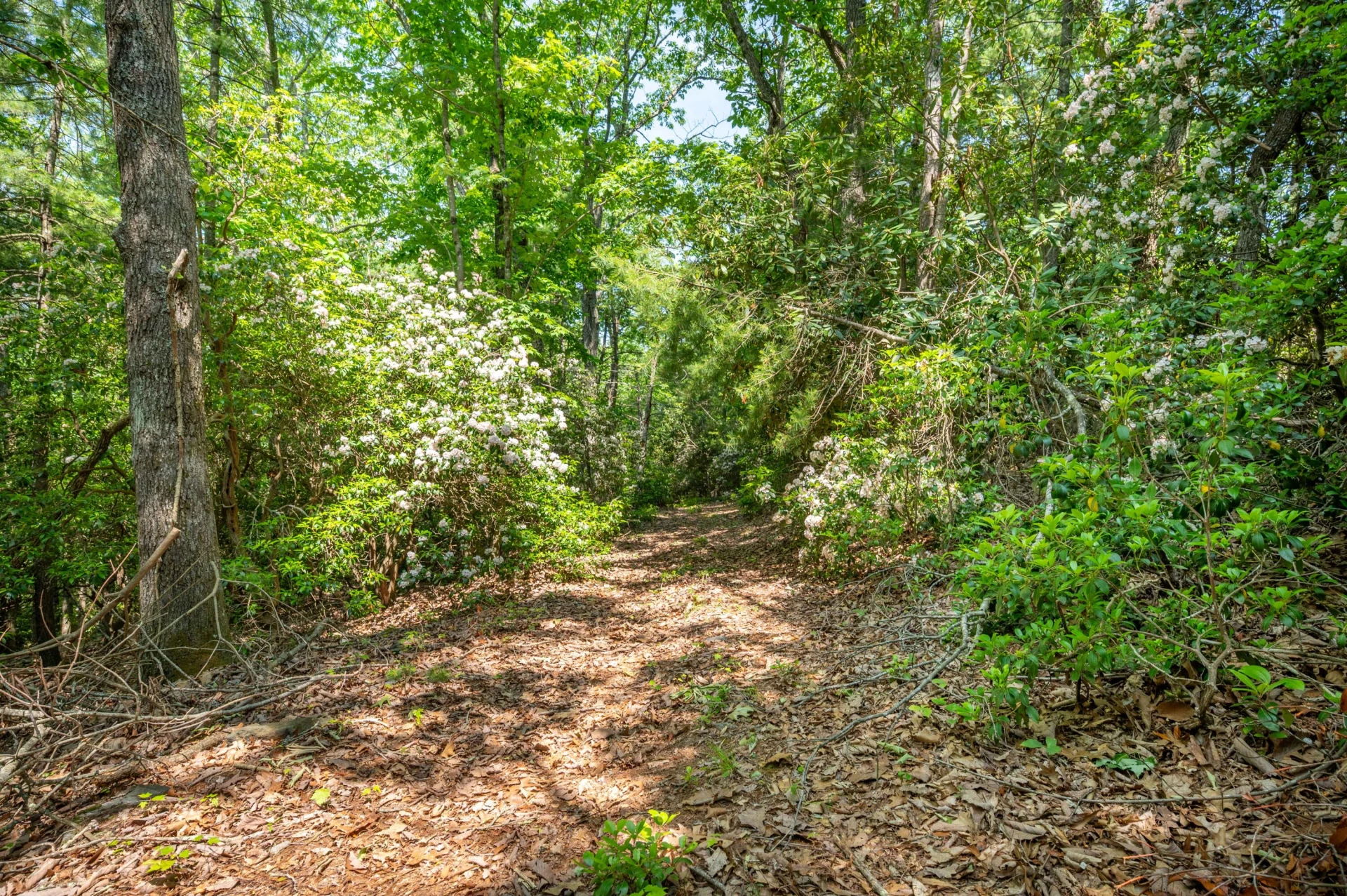1073 Timberline RD SE - Photo 27