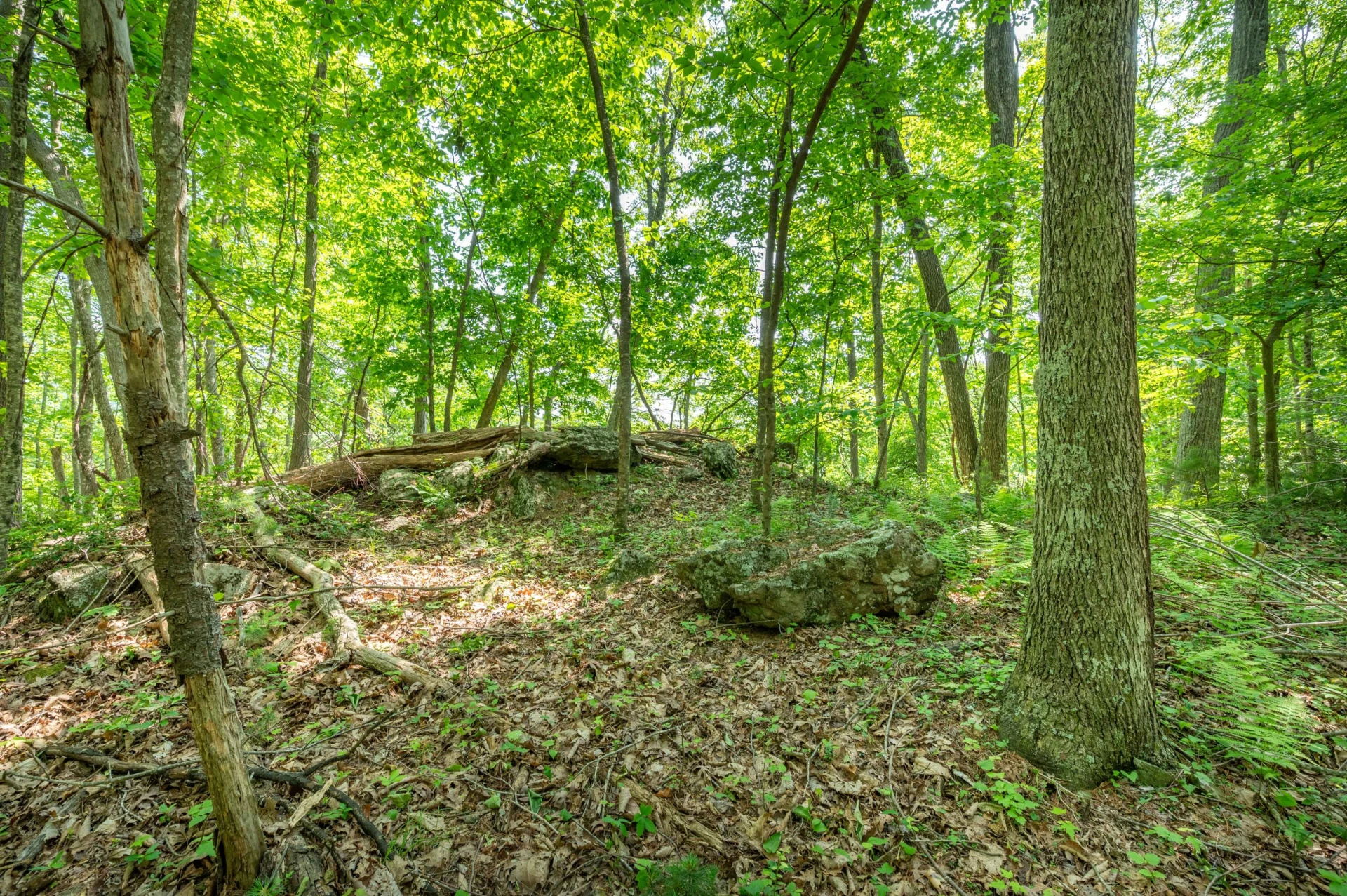 1073 Timberline RD SE - Photo 28
